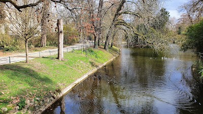 Photo 5 de Jardin Botanique du Jardin Public