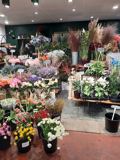 Photo 4 de Marché couvert Saint-Quentin