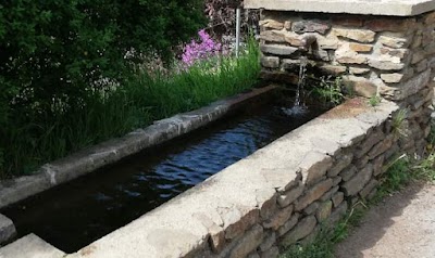 Photo 2 of Salvaris