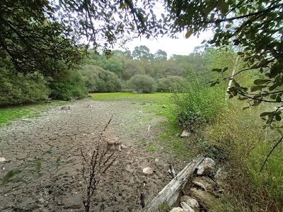 Photo 4 de Forêt de Touffou