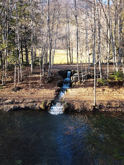 Photo 4 de Domaine de Charance