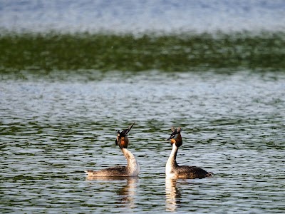 Photo 3 de Lac de Beaulieu