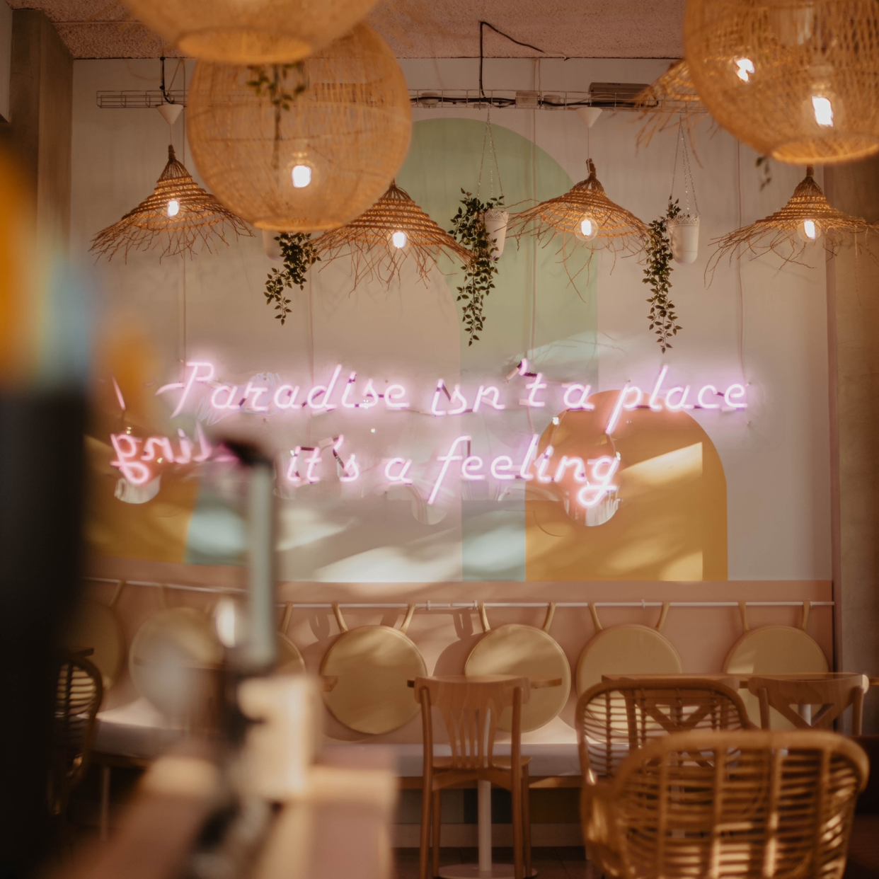 Photo 1 de Bluebird coffee shop, bagels, salads, pâtisseries & cookies