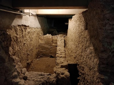 Photo 5 de Crypte de Nice