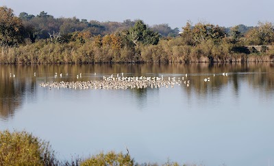 Photo 2 de Réserve Ornithologique du Teich