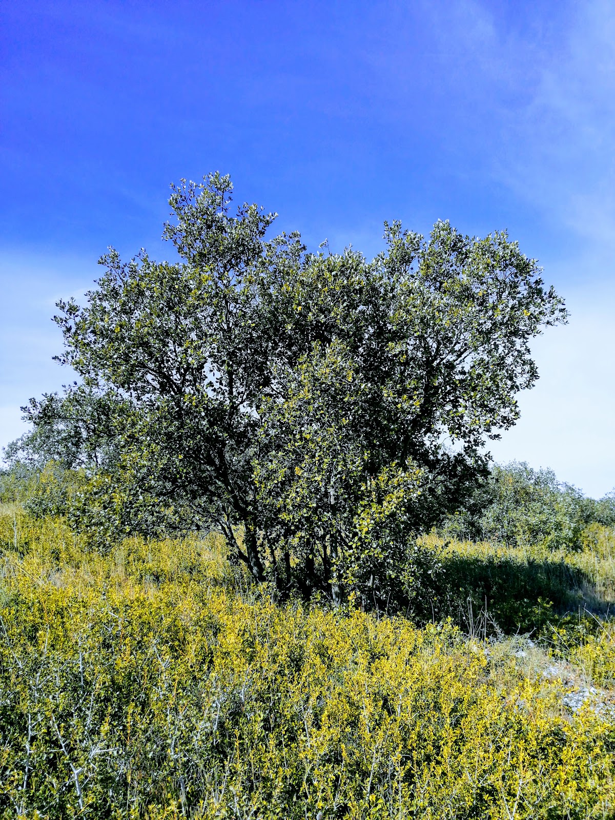 Photo 3 de Clos Gaillard