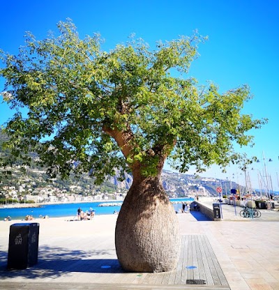 Photo 4 of Plage des Sablettes
