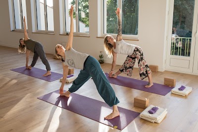 Photo 3 de NAVA YOGA Nantes - Le Shala