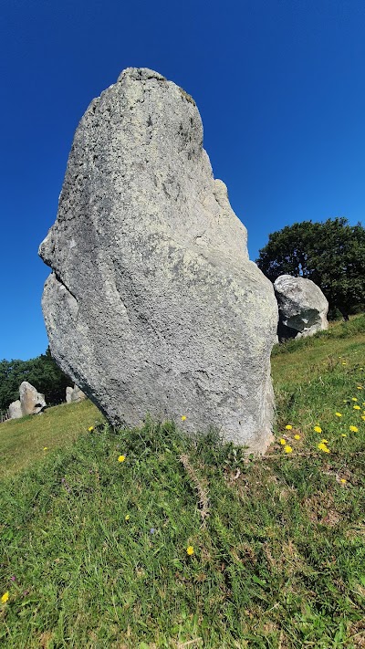 Photo 2 de Alignements de Carnac