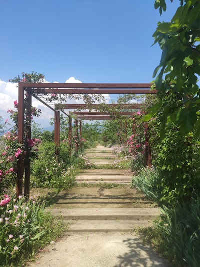 Photo 2 de Jardins du MIP (Musée International de la Parfumerie) - Mouans-Sartoux