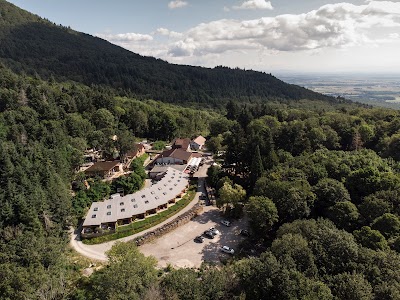 Photo 2 de Domaine du Hirtz