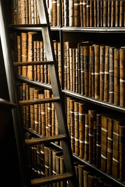 Photo 2 de Librairie Candide