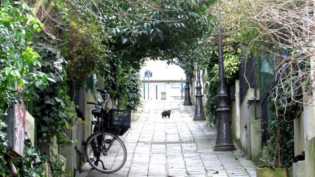 Photo 4 de Quartier de la Mouzaïa