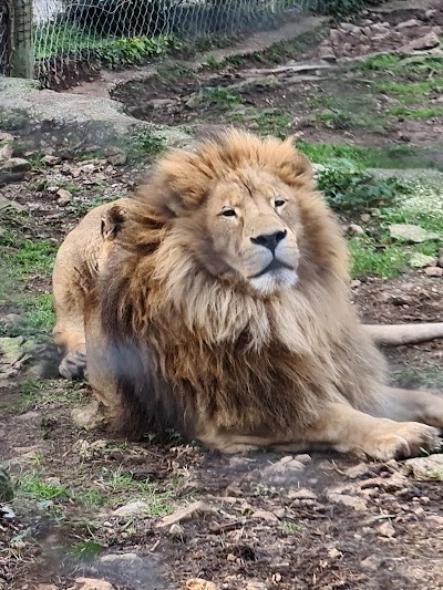 Photo 2 de Parc animalier du Mont Faron