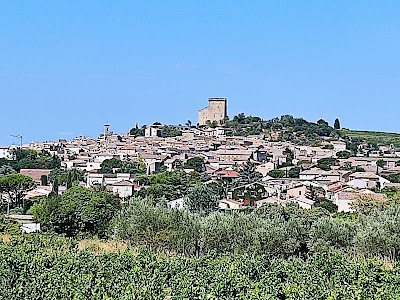 Photo 2 of Châteauneuf-du-Pape