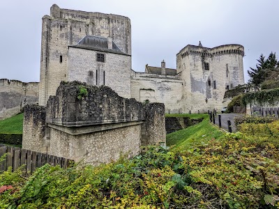 Photo 3 de Château de Loches