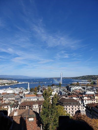 Photo 3 de Jet d'Eau de Genève