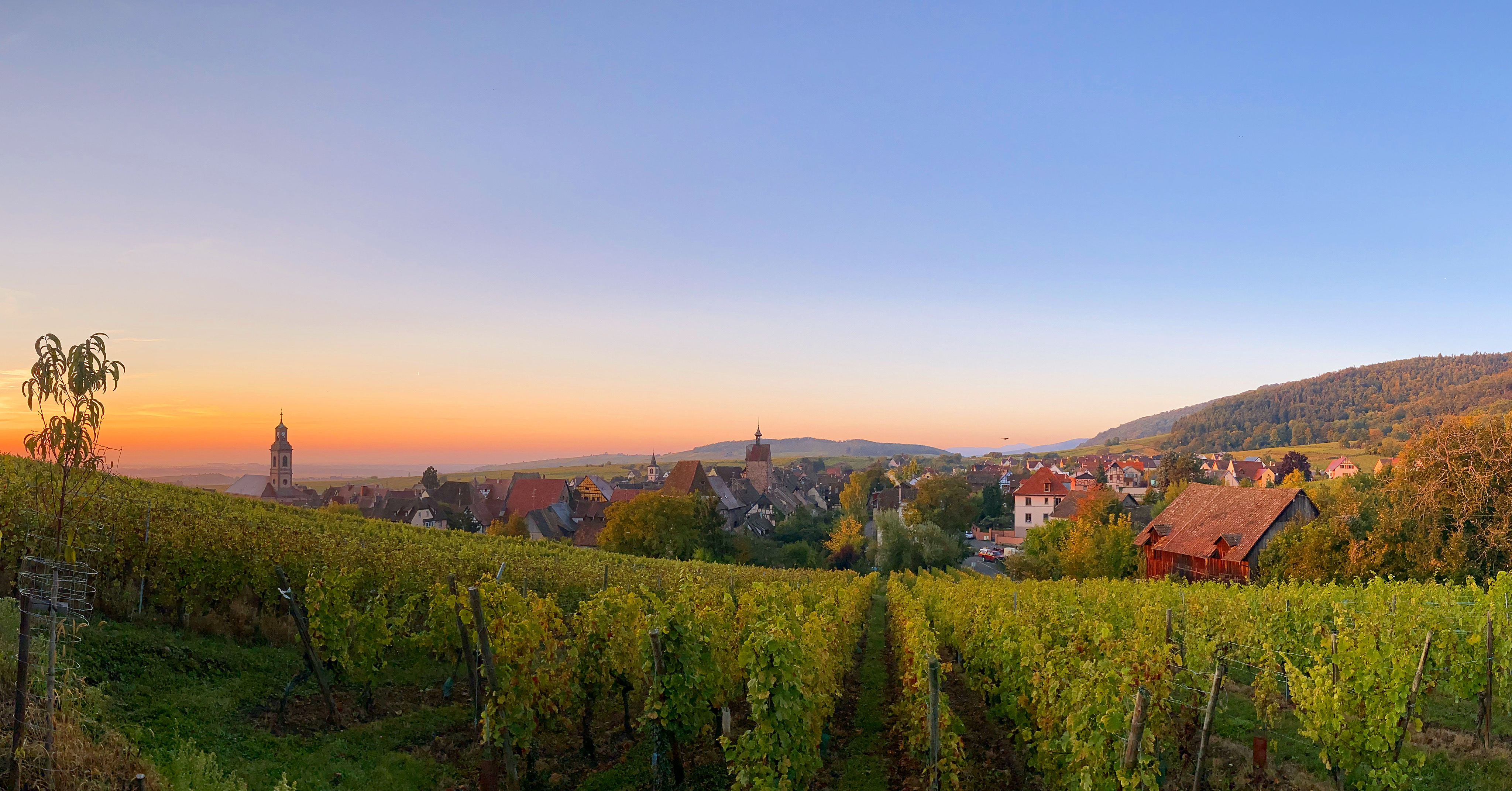 Riquewihr