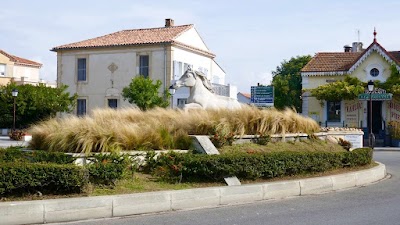 Photo 4 de Saintes-Maries-de-la-Mer en bateau 