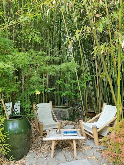 Photo 5 of Les Bambous du Mandarin