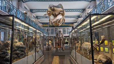 Photo 2 de Musée d'Histoire Naturelle de Lille