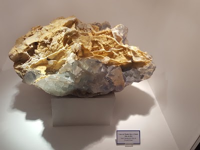 Photo 4 de Muséum Henri-Lecoq