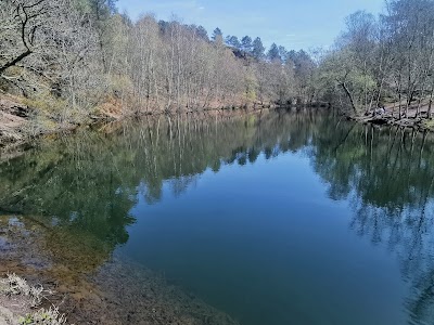 Photo 2 de Forêt de Brocéliande
