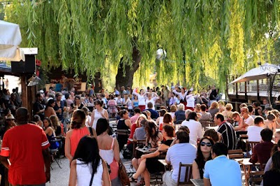Photo 3 de Guinguette de Tours