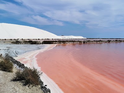 Salin d’Aigues-Mortes