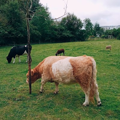 Photo 3 de Ferme pédagogique Marcel Dhénin - Ville de Lille