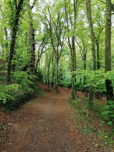 Photo 3 de Bois de la Brasserie