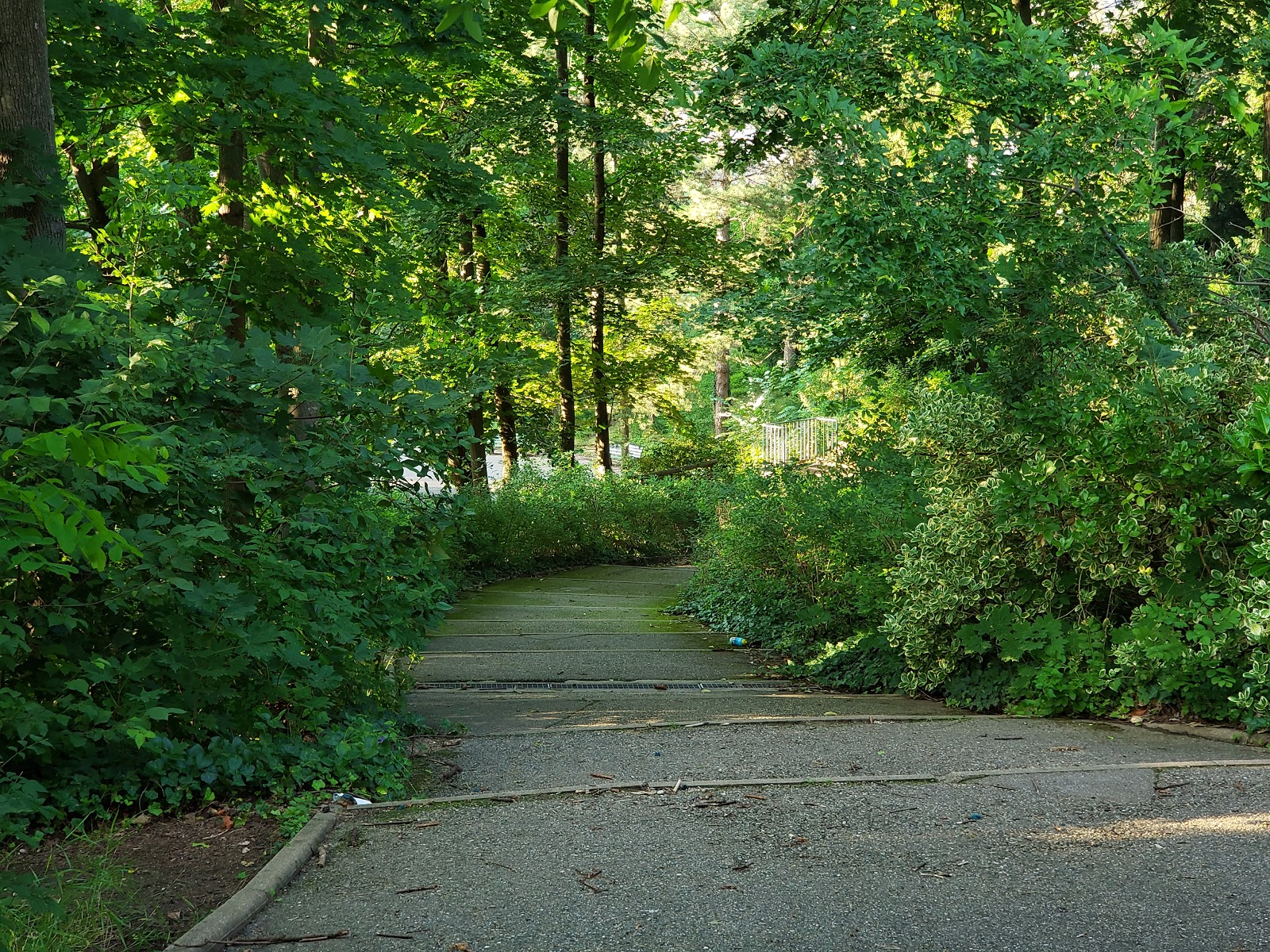 Photo 2 de Parc de la Cerisaie