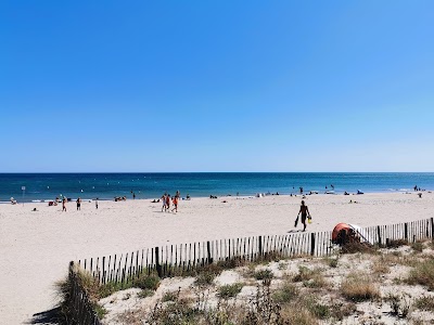 Photo 1 de Plage des Aresquiers