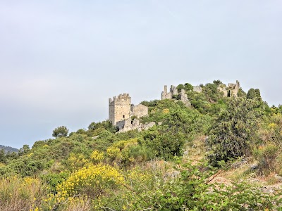 Photo 3 de Ruines de Châteauneuf Villevieille