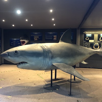 Photo 3 de Aquarium d'Amnéville