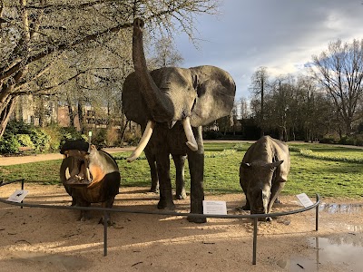 Photo 3 de Musée d'histoire naturelle