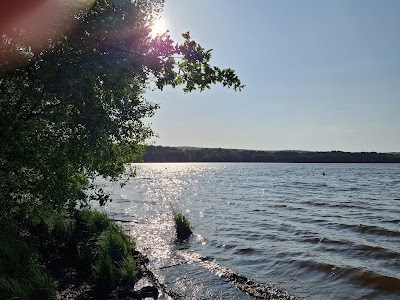 Photo 3 de Forêt de Brocéliande