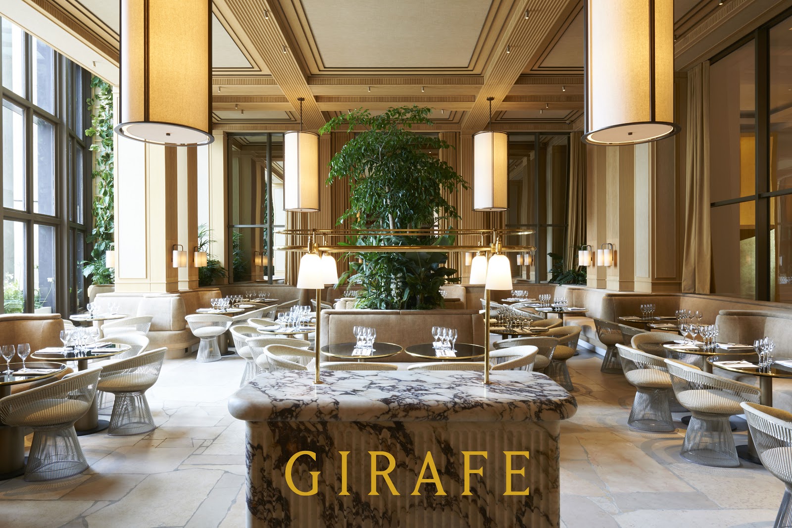 La suite Girafe
