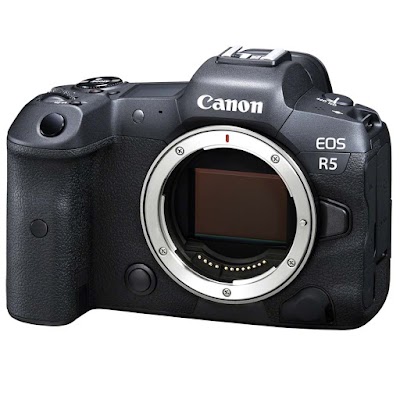 Photo 3 de Camara Photographie Roubaix
