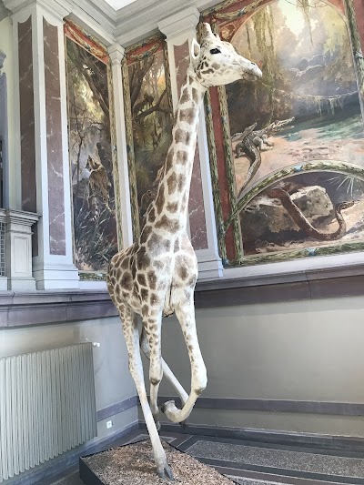 Photo 2 de Musée zoologique de Strasbourg