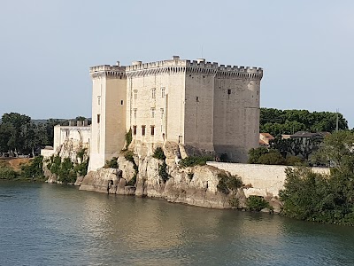 Photo 2 de Château de Tarascon