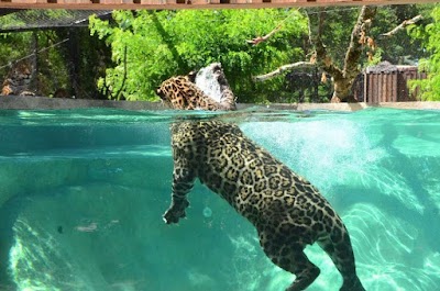 Photo 2 de Zoo de Bordeaux-Pessac