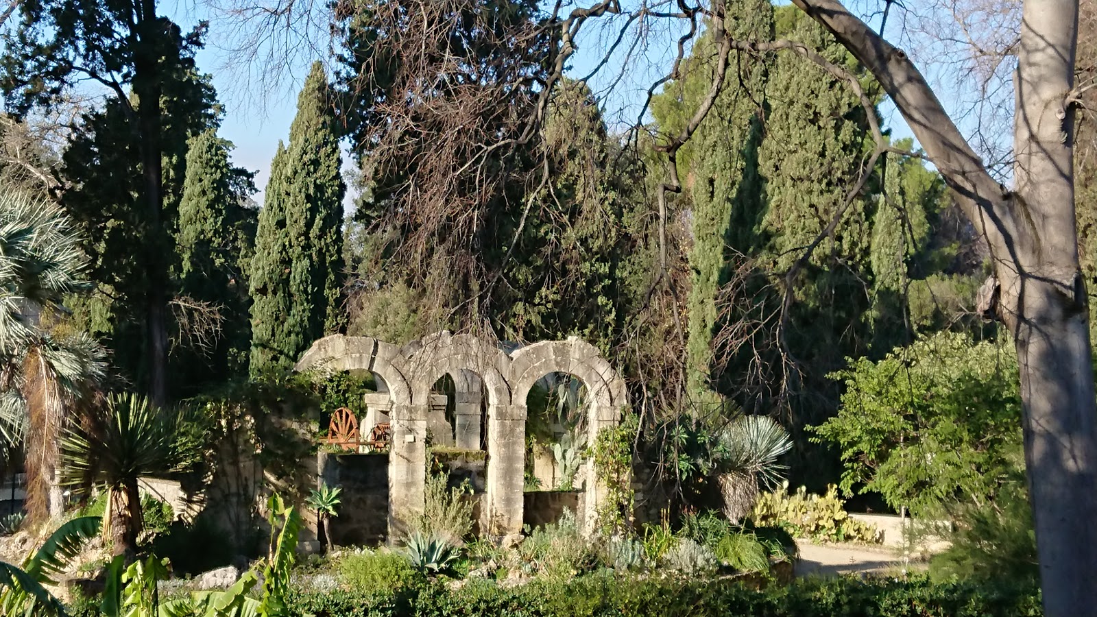 Photo 2 of Jardin des Plantes de Montpellier