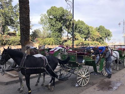 Photo 4 de Jemaa el-Fna