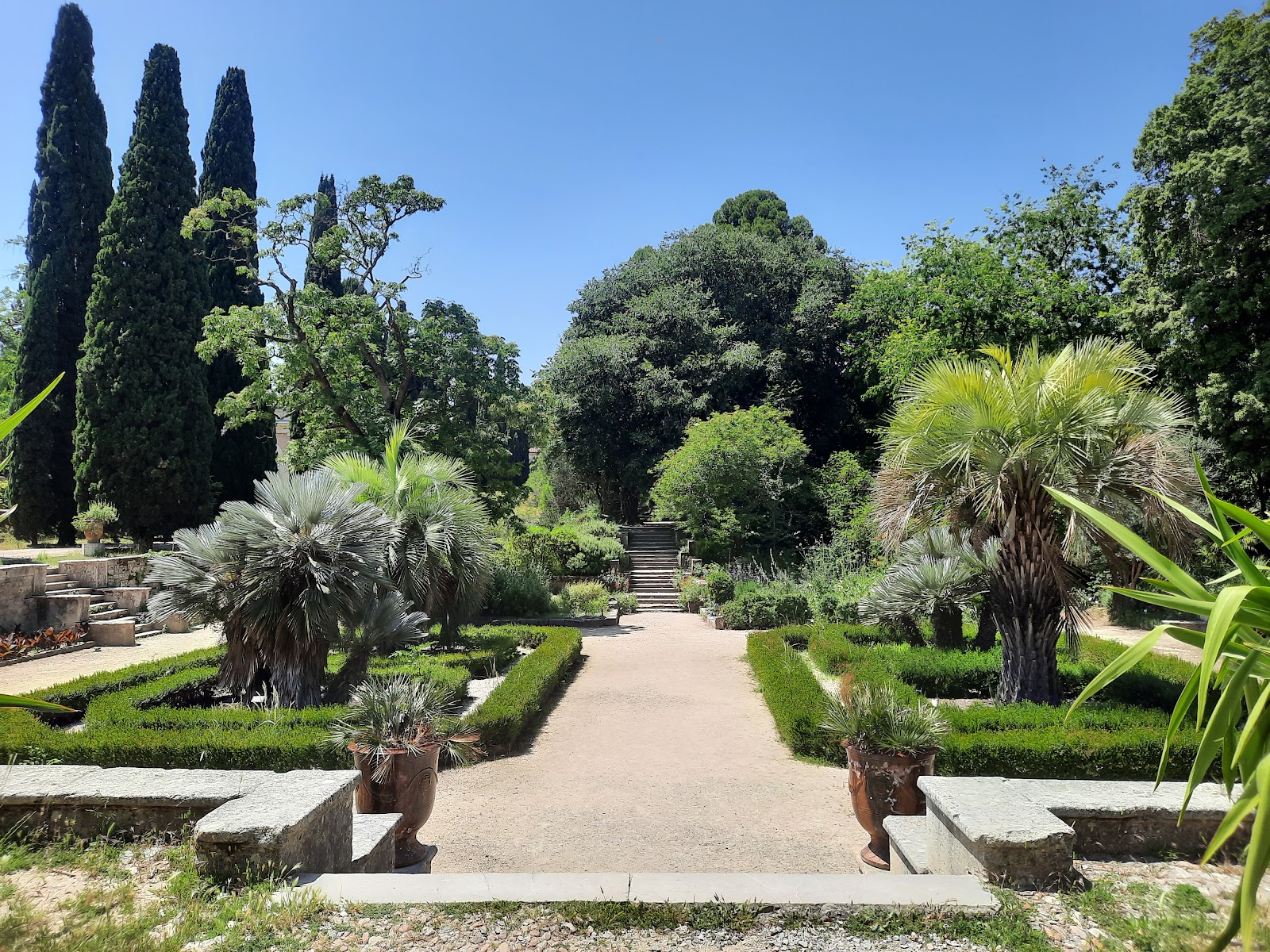 Photo 3 of Jardin des Plantes de Montpellier