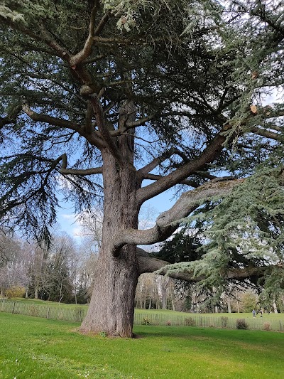 Photo 2 de Château Mme de Graffigny