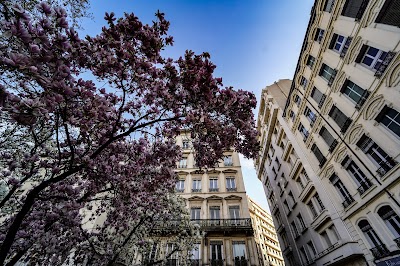 Photo 3 de Place des Célestins