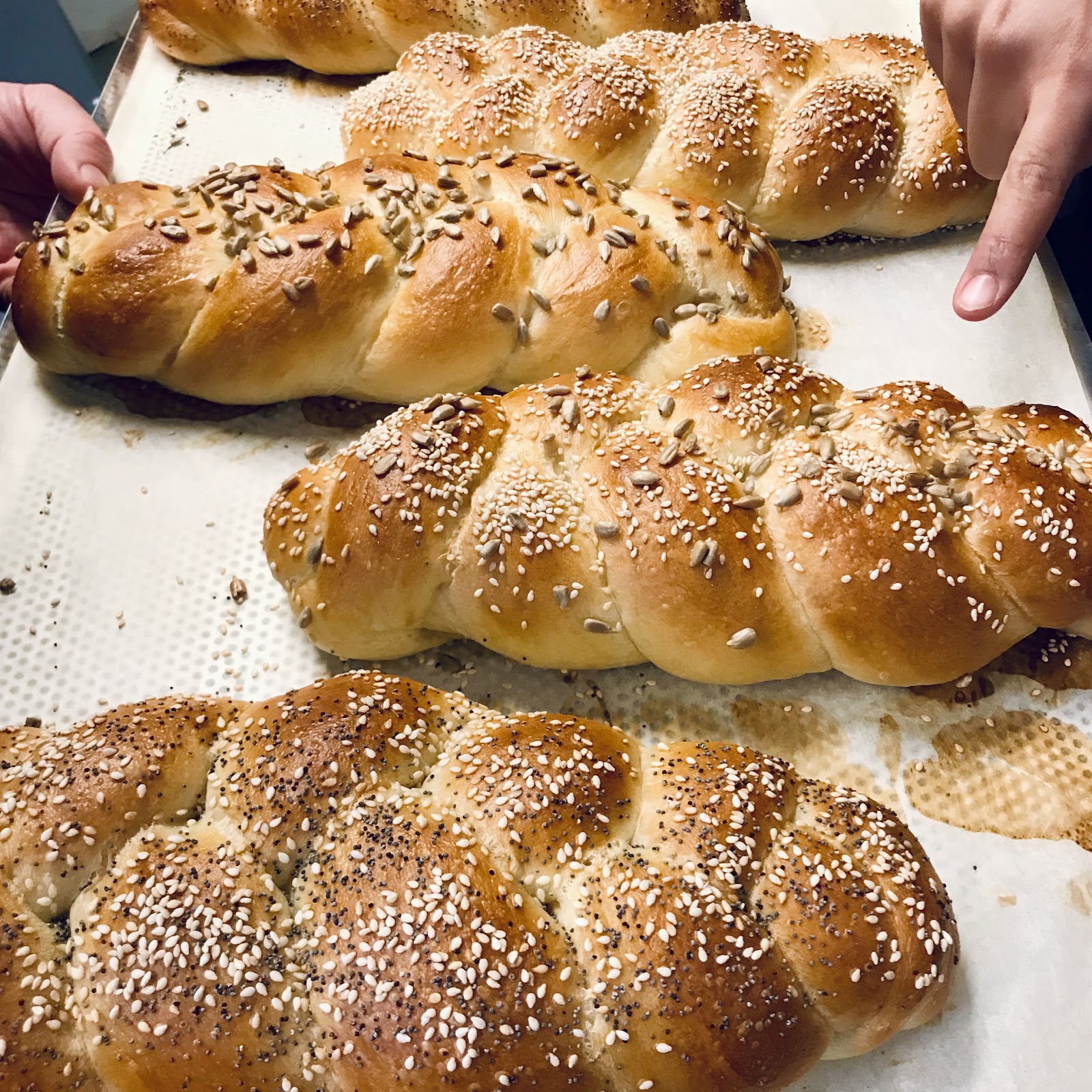Photo 2 de Babka Zana