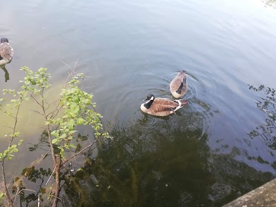 Photo 5 de Lac de Gassicourt