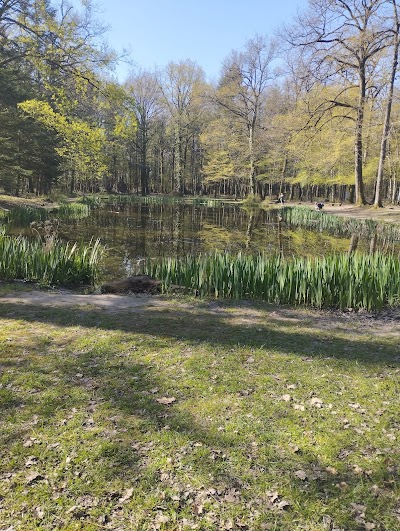 Photo 4 de Parcs Forestier de Larçay - Les Hâtes